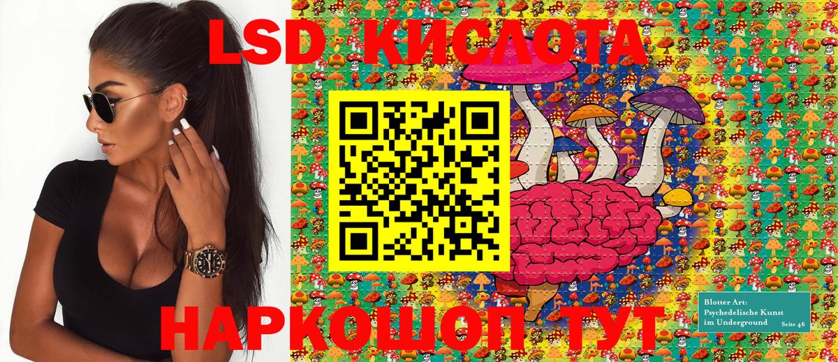 Гатчина  Наркотические марки 1,5мг  Наркотические марки 1,5мг  как найти   Вход с VPN 